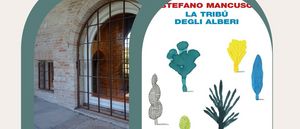 mancuso cartoceto